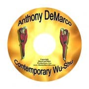 Contemporary Wu-Shu with Anthony DeMarco  - Image 2