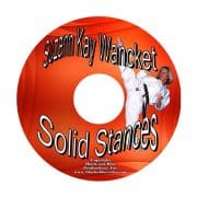 Suzanne Kay Wancket-Yu teaches Solid Traditional Stances - Image 3