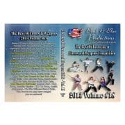 2013 Vol. 18 The Best Of Tournament Forms & Weapons - Image 3