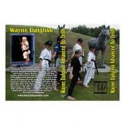 Wayne Dalglish Advanced Bo Drills - Image 3